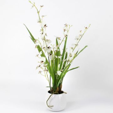 Textil Oncidium Orchidee SHANIA, Keramiktopf, weiß-braun, 50cm