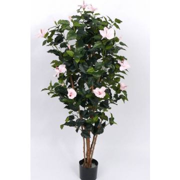 Kunstbaum Hibiskus HOSHIKO mit Blüten, rosa, 180cm
