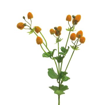Dekozweig Frauenmantel LANHAN mit Blüten, orange, 45cm