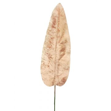 Samt Bananenblatt AOXUE, rosa, 70cm