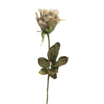Dekoblume Rose HUINA, beige-violett, 60cm