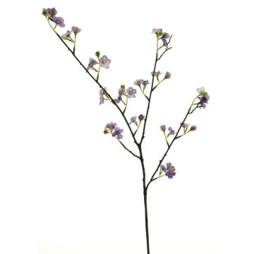 Deko Zweig Birnenblüten NANLING mit Blüten , lila, 85cm