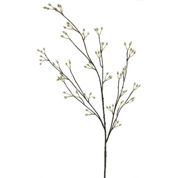 Dekozweig Weidenkätzchen NAYONG mit Blüten, creme, 120cm