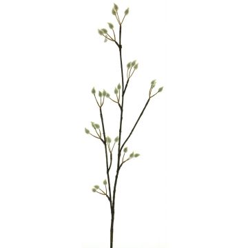 Dekozweig Weidenkätzchen NAYONG mit Blüten, creme, 80cm