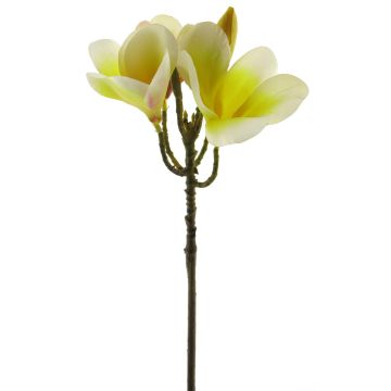 Kunstblume Frangipani ZIDONG, gelb-creme, 35cm