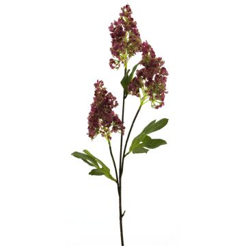 Künstlicher Zweig Flieder FANGMEI, violett, 80cm