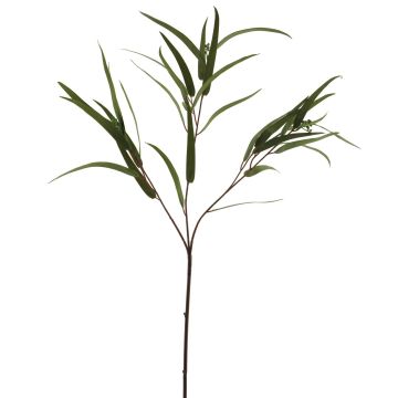 Deko Zweig Eukalyptus ZIYUMU mit Samen, grün, 80cm