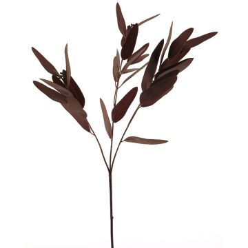 Deko Zweig Eukalyptus YUZIMO mit Samen, burgunderrot, 80cm