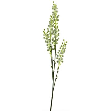 Kunstzweig Mimose CHENWU, Blüten, weiß-grün, 70cm