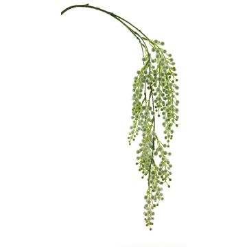 Kunstzweig Mimose CHENWU, Blüten, weiß-grün, 75cm