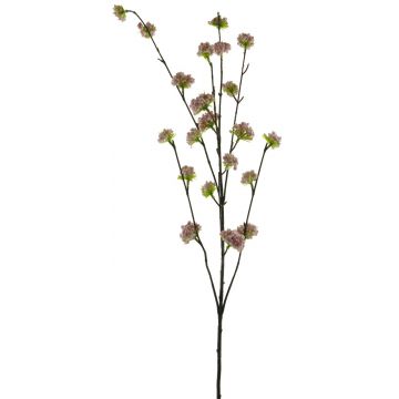 Deko Zweig Zierpfirsich QIAOMEI, Blüten, rosa-grün, 100cm