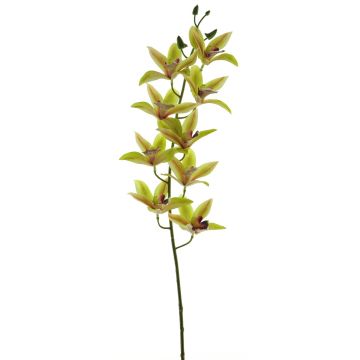 Dekozweig Cymbidium Orchidee YAMEI, grün-pink, 80cm