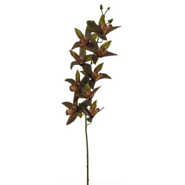 Dekozweig Cymbidium Orchidee YAMEI, dunkelrot-grün, 80cm