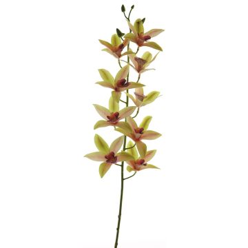 Dekozweig Cymbidium Orchidee YAMEI, rosa-grün, 80cm