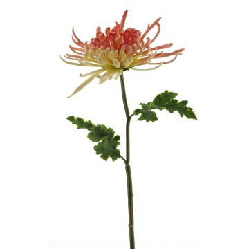 Dekoblume Chrysantheme YASULI, pink-gelb, 70cm