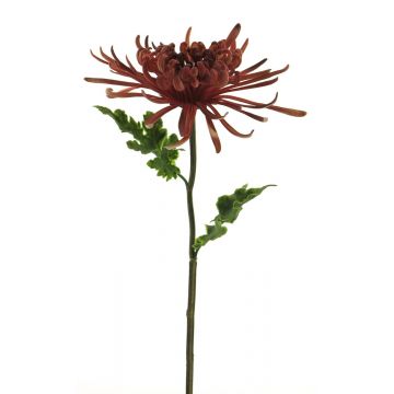 Dekoblume Chrysantheme YASULI, burgunderrot, 70cm