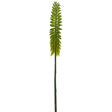 Kunstblume Fackellilie QIUMIN, grün, 85cm