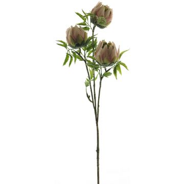 Kunstblumen Zweig Protea LIUJIA, rosa-grün, 75cm