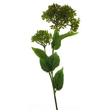 Dekoblume Sedum telephium Blüte YATING, grün, 65cm