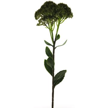 Dekoblume Sedum telephium Blüte SHUNFEI, grün, 60cm