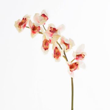 Plastik Zweig Cymbidium Orchidee OKSANA, creme-rosa, 80cm