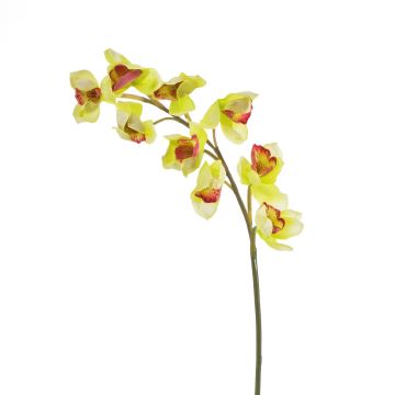 Plastik Zweig Cymbidium Orchidee OKSANA, gelb-grün, 80cm