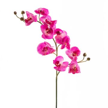 Plastik Phalaenopsis Orchideen Zweig STINA, pink, 90cm