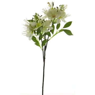 Kunstblumen Zweig Weißdorn MEIRAN mit Blüten, creme, 65cm