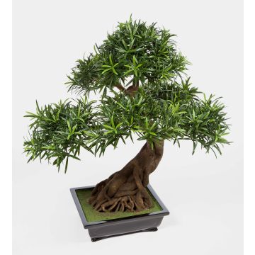 Kunst Bonsai Podocarpus MASAO mit Wurzeln, in Keramikschale, 85cm