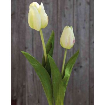 Künstliche Tulpe LARISSA, creme-grün, 55cm, Ø5cm