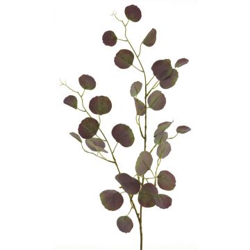 Dekozweig Roter Perückenstrauch DANLU, violett-grün, 110cm