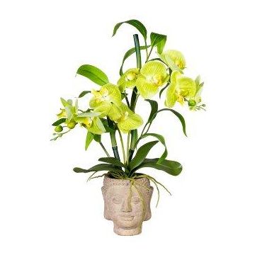 Künstliches Gesteck Orchidee Bambus MARAKI im Zementtopf Buddha, Wurzeln, hellgrün, 60cm