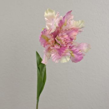 Künstliche Blume Papageientulpe ALISCHA, lila-creme, 70cm, Ø19cm