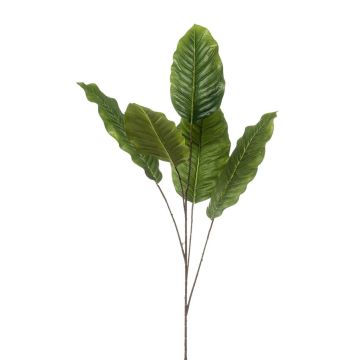 Deko Zweig Dieffenbachia ZERVAN, grün, 110cm