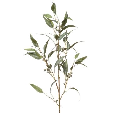 Kunstzweig Eukalyptus JURKA mit Früchten, grün-grau, 115cm