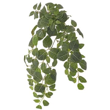 Künstliche Pflanze Fittonia LONFYN, Steckstab, hängend, grün, 75cm
