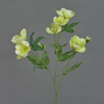 Künstlicher Christrosen Zweig ANYALA, grün-weiß, 60cm, Ø5-6cm
