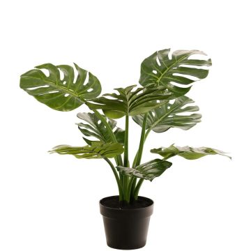 Philodendron Monstera Deliciosa Kunstpflanze QUENTEA, Dekotopf, 60cm