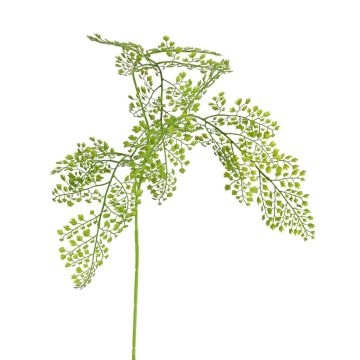 Künstlicher Frauenhaarfarn Zweig URRACA, grün, 90cm