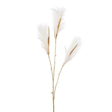 Deko Zweig Sandrohr LOMTA mit Rispen, creme-gold, 100cm