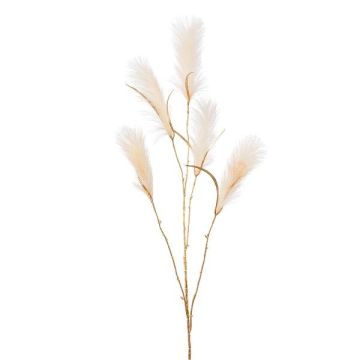 Deko Zweig Sandrohr LOMTA mit Rispen, creme-gold, 130cm