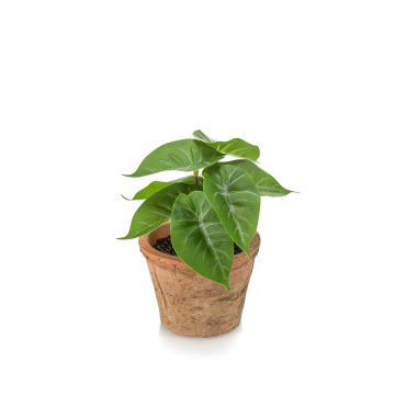 Kunstpflanze Anthurium ZADE im Terracotta Topf, grün-grau, 13cm