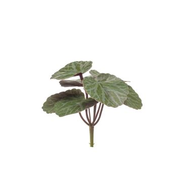 Kunstpflanze Steinbrech ZARO auf Steckstab, grün, 13cm