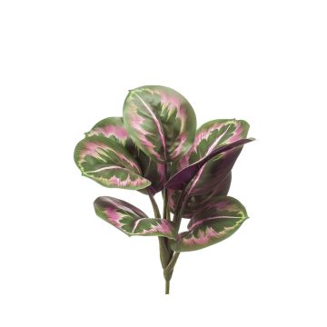 Kunstpflanze Calathea Roseopicta NOXY, Steckstab, grün-rosa, 30cm