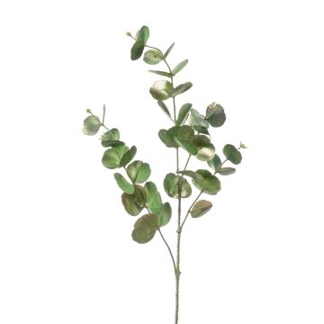 Kunstzweig Eukalyptus PISAM, grün-gold, 85cm