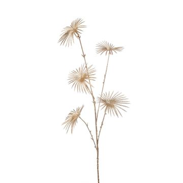 Dekozweig Livistona rotundifolia Palme NAFASI, gold, 80cm