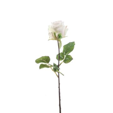Künstliche Blume Rose POPI, weiß-grün, 55cm
