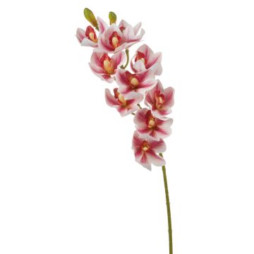 Cymbidium Orchideenzweig künstlich LANAKILA, pink-weiß, 70cm, Ø9cm