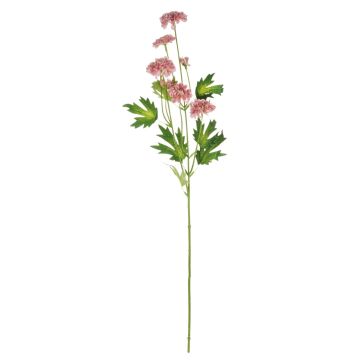 Kunstblumenzweig Chrysantheme REINHARDA, altrosa, 65cm