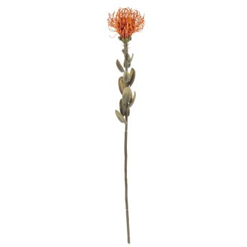 Kunstblume Nadelkissen Protea URMINE, Trockenoptik, orange, 60cm